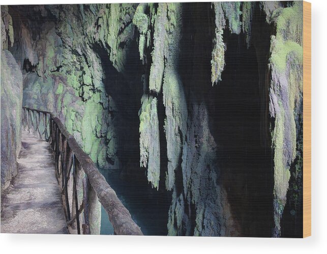 Canvas Wood Print featuring the photograph Natural park of the monastery of Piedra - Des-saturated Edition by Jordi Carrio Jamila
