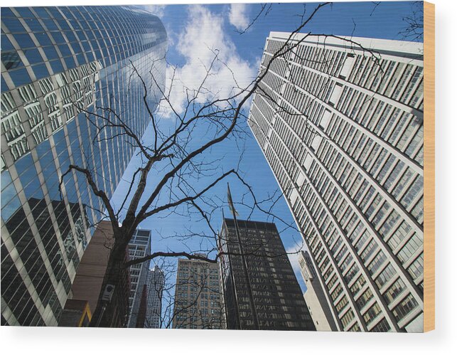 Tree Wood Print featuring the photograph Nature and Skyscraper by Britten Adams