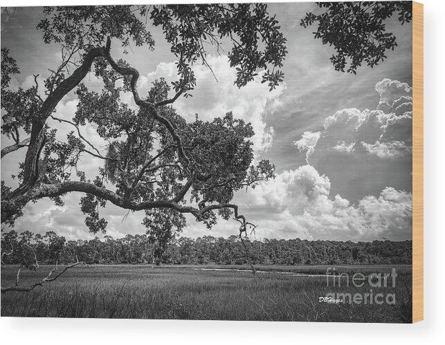 Nature Wood Print featuring the photograph Natures Serenity In Black and White by DB Hayes