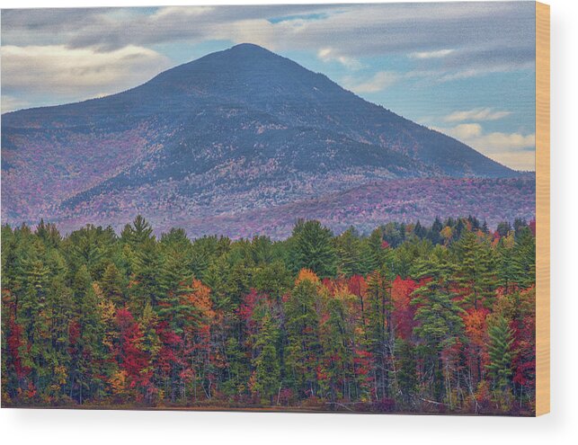 New Hampshire Fall Foliage Wood Print featuring the photograph New Hampshire fall foliage at White Lake State Park by Juergen Roth