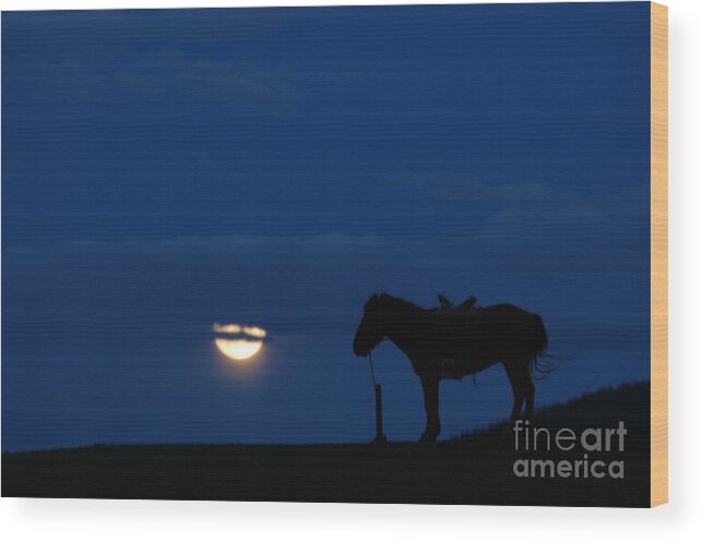 Night Of Moon With Horse Wood Print featuring the photograph Night of Moon with horse by Elbegzaya Lkhagvasuren