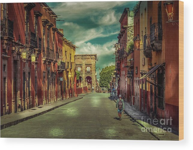 San Miguel Wood Print featuring the photograph No Body by Barry Weiss