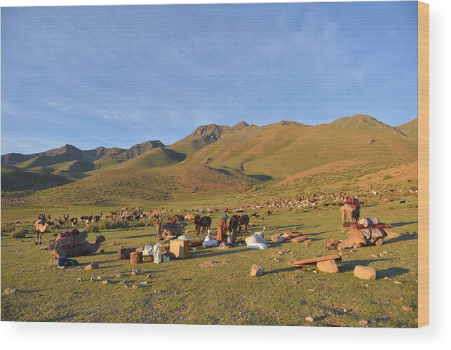 Herders Lifestyle Wood Print featuring the photograph Nomad by Bat-Erdene Baasansuren