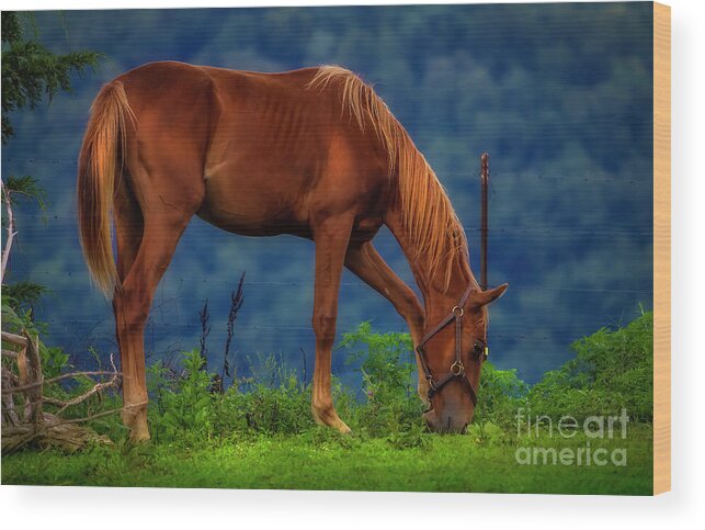 Horse Wood Print featuring the photograph Northeast Tennessee Farm Country by Shelia Hunt