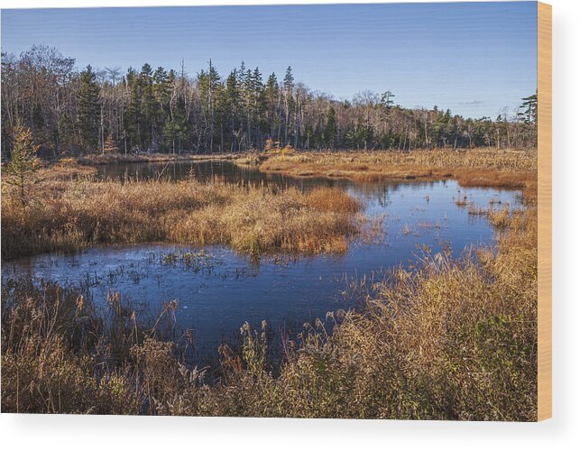Fall Wood Print featuring the photograph November Marsh at the bottom end of Washmill Lake by Irwin Barrett