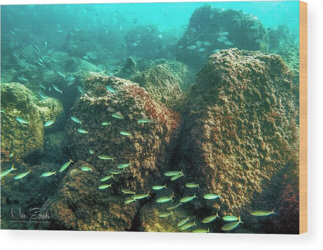 Underwater Wood Print featuring the photograph Nowhere by Meir Ezrachi