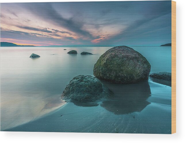Dusk Wood Print featuring the photograph Observers by Evgeni Dinev