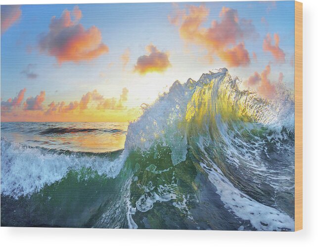  Ocean Wood Print featuring the photograph Ocean Bouquet by Sean Davey