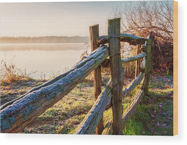 Fence Wood Print featuring the photograph October morning frost in Ontario by Tatiana Travelways