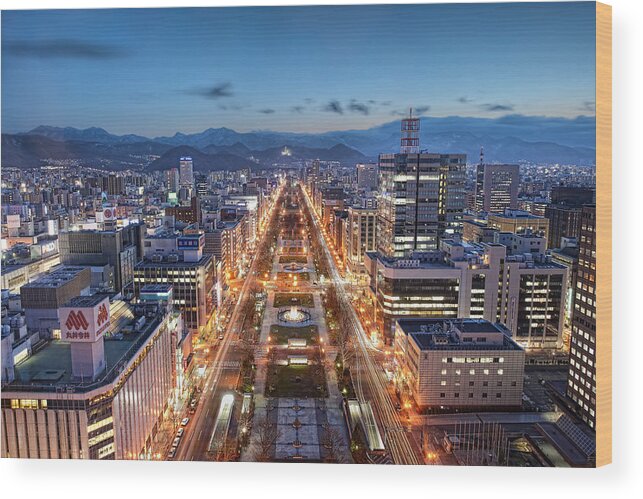 Tranquility Wood Print featuring the photograph Odori Park Twilight by Daniel Chui