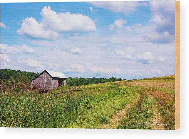 Landscape Wood Print featuring the photograph Ohio Country Road by Mary Walchuck