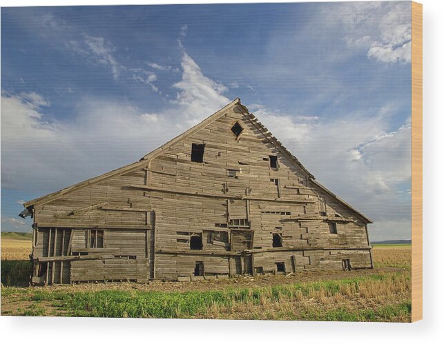 Barn Wood Print featuring the photograph Old Barn in Montana by Jack Bell