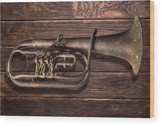 Trumpet Wood Print featuring the photograph Old Horn by Ally White