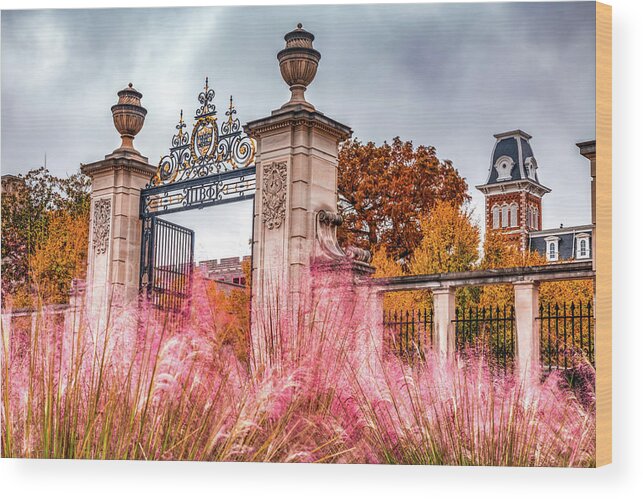 University Of Arkansas Wood Print featuring the photograph Old Main and Centennial Gate in Autumn - University of Arkansas by Gregory Ballos