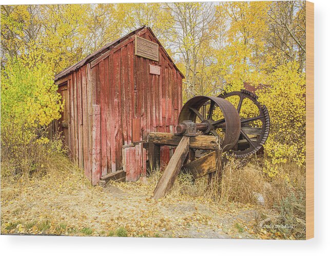 Shed Wood Print featuring the photograph Old Red Shed by Randy Bradley