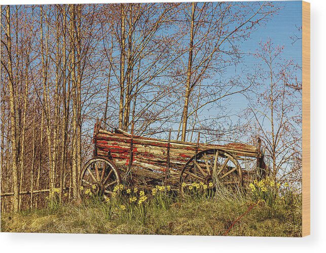 Landscapes Wood Print featuring the photograph Old Red Wagon by Claude Dalley