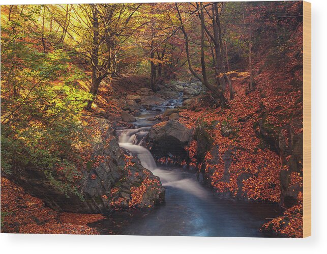 Mountain Wood Print featuring the photograph Old River by Evgeni Dinev