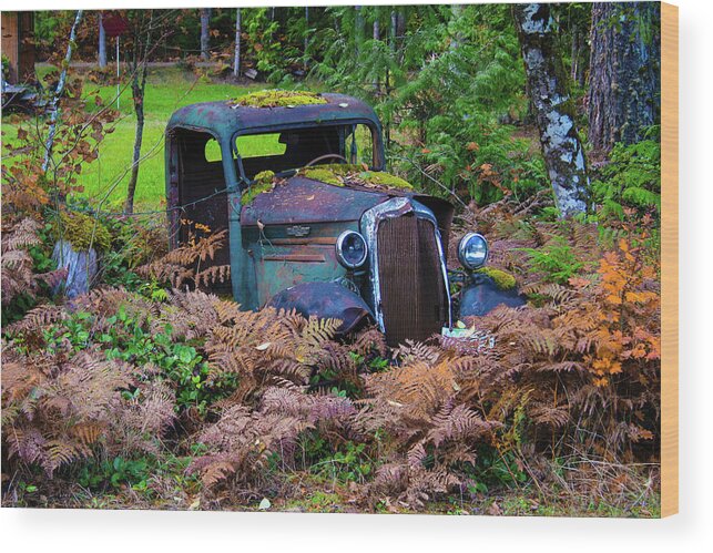 Old Truck Wood Print featuring the photograph Old Rusty Truck by Mary Gaines