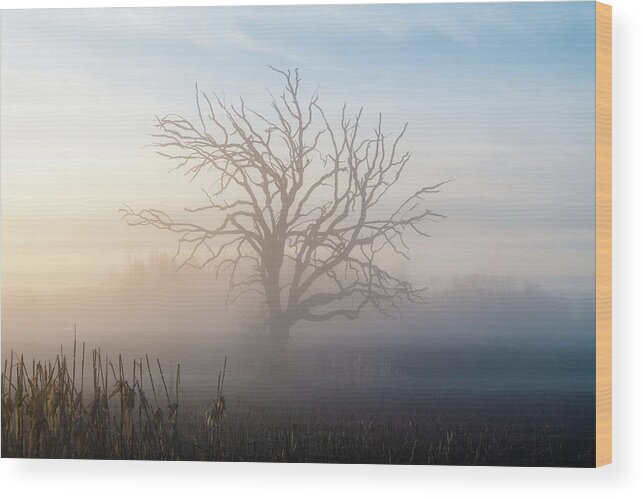 Foggy Sunrise Wood Print featuring the digital art Old Sentinel by Paulette Marzahl