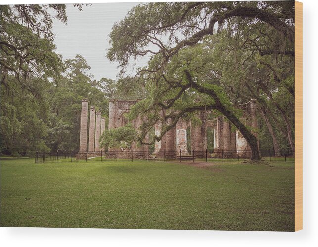 Yemassee Wood Print featuring the photograph Old Sheldon Church Ruins 12 by Cindy Robinson