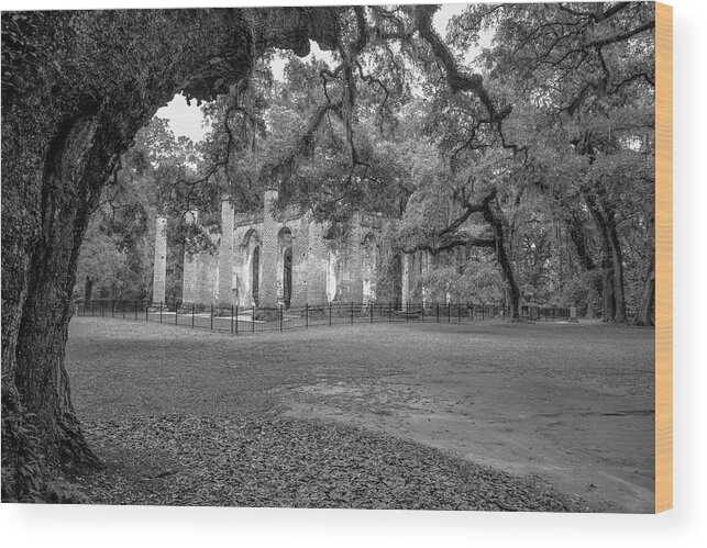 Yemassee Wood Print featuring the photograph Old Sheldon Church Ruins in Black and White by Cindy Robinson