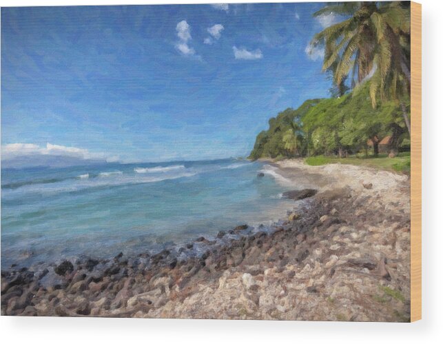 Lahaina Wood Print featuring the painting Olowalu Beach by Chris Spencer