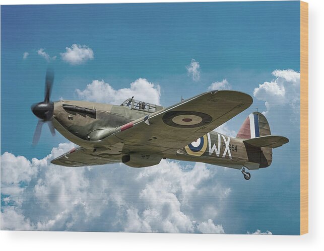Hawker Wood Print featuring the photograph On Patrol by Chris Smith