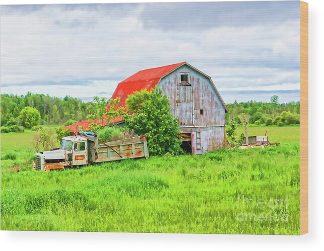 Canada Wood Print featuring the photograph On The Farm by Lenore Locken
