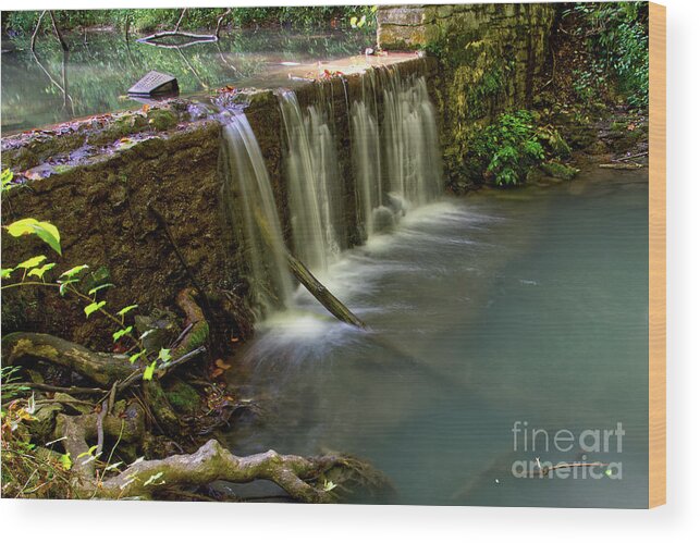 Norris Dam State Park Wood Print featuring the photograph On The Road 8 by Phil Perkins