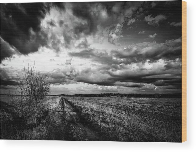 Road Wood Print featuring the photograph On The Road Again LRBW by Michael Damiani