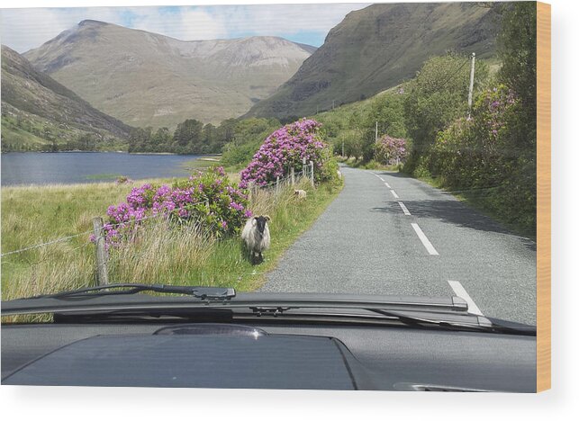 Irlande Wood Print featuring the photograph On the road Ireland by Joelle Philibert