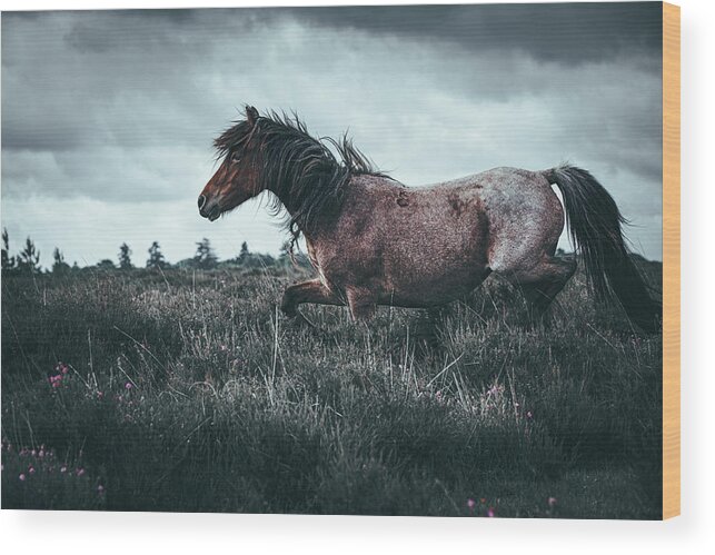 Photographs Wood Print featuring the photograph On the run - Horse Art by Lisa Saint