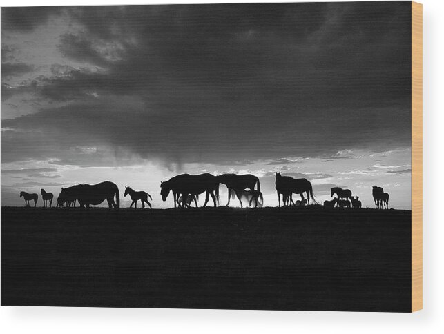 Black And White Wood Print featuring the photograph Onaqui Silhouette by Dirk Johnson