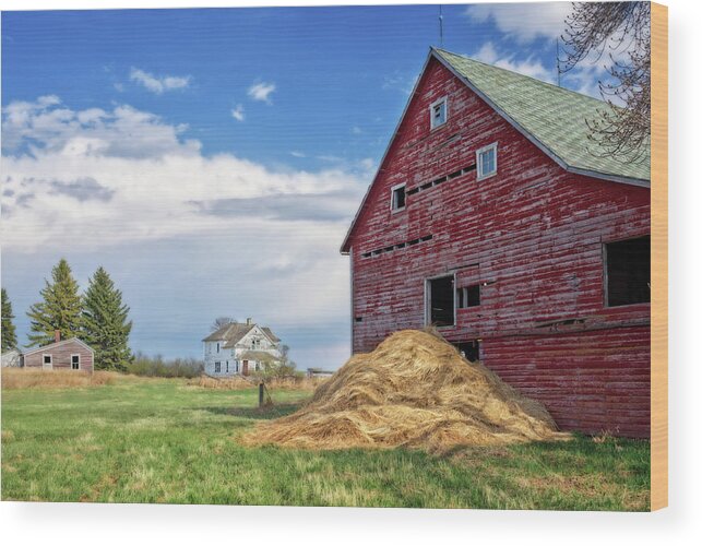 Abandoned Wood Print featuring the photograph Once Upon a Farm - Solberg homestead by Peter Herman