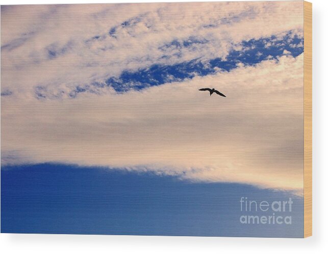 Pink Wood Print featuring the photograph One Bird by Kimberly Furey