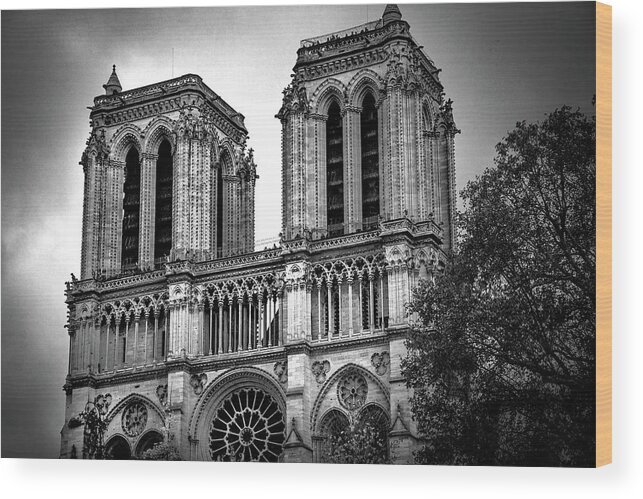 Notre Dame Wood Print featuring the photograph One Last Look by Rebecca Herranen
