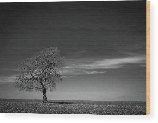 Britain Wood Print featuring the photograph One tree on the horizon landscape by Seeables Visual Arts