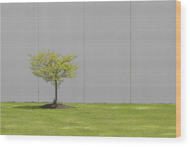 New Topographics Wood Print featuring the photograph One Tree by Stuart Allen