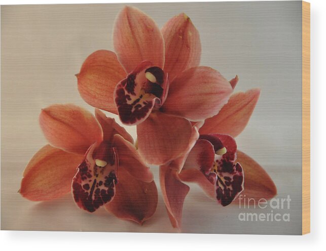 Art Wood Print featuring the digital art Orchid Pyramid by Kirt Tisdale