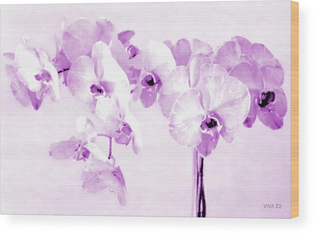 Purple Wood Print featuring the photograph Orchids 22 - Viva by VIVA Anderson