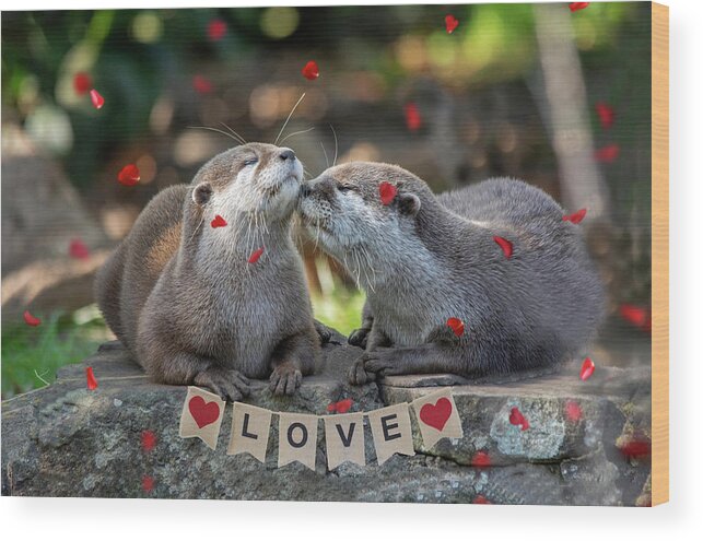 Otters Wood Print featuring the photograph Otter Love valentine special by Gareth Parkes