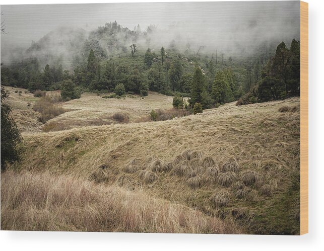 Trees Wood Print featuring the photograph Over the Hills Far Away by Ryan Weddle
