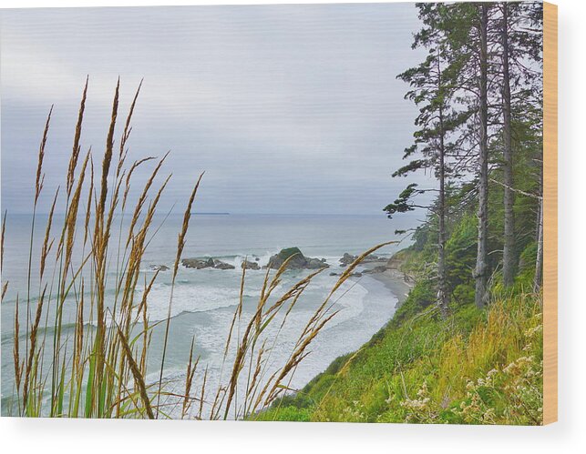 Ocean Wood Print featuring the photograph Pacific Beach State Park by Bill TALICH