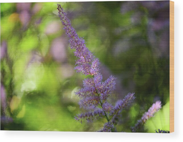 Copyright Elixir Images Wood Print featuring the photograph Pacific Northwest Soft Lilac Mist by Santa Fe