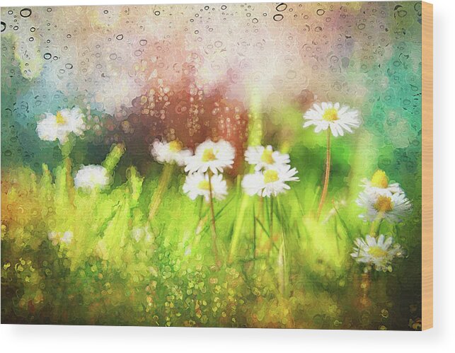 Daisy Wood Print featuring the photograph Painterly Daisies Dancing in the Rain by Carol Japp