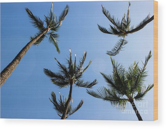 Maui Wood Print featuring the photograph Palm Trees by Wilko van de Kamp Fine Photo Art