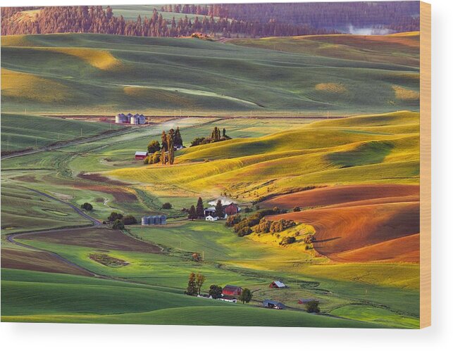 Palouse Farming As Seen From Steptoe Butte Wood Print featuring the photograph Palouse farming as seen from Steptoe Butte by Lynn Hopwood