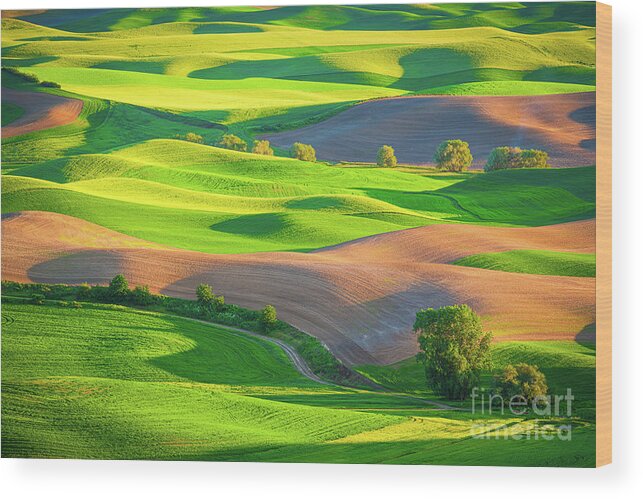 America Wood Print featuring the photograph Palouse Fields by Inge Johnsson