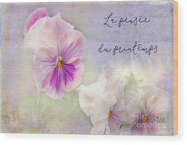 Pansy Wood Print featuring the photograph Pansy Time by Marilyn Cornwell