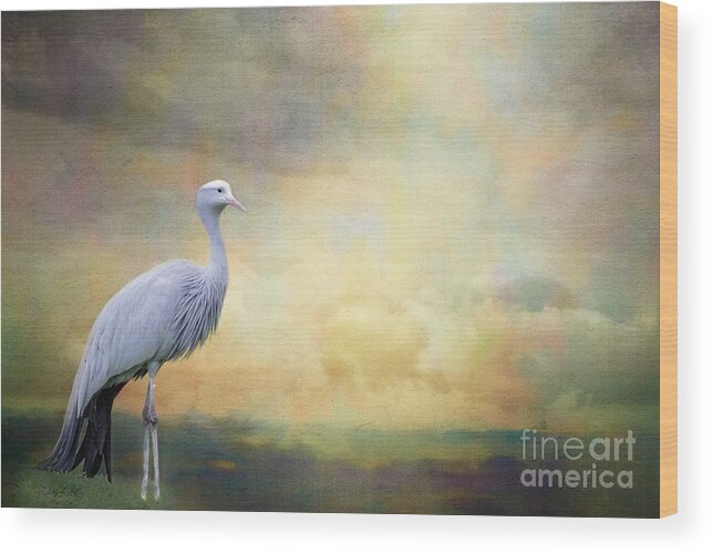 Blue Crane Wood Print featuring the photograph Paradise Crane in the Field by Eva Lechner
